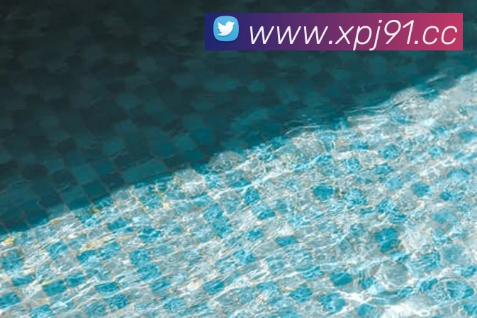 新葡京在线官网APP 封面图